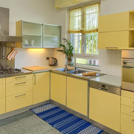 فيلة La Rodina *